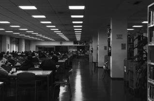 En el interior de la biblioteca universitaria, en su espacio para trabajo