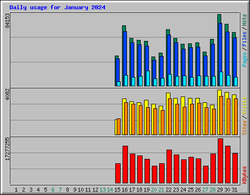 Daily usage for January 2024