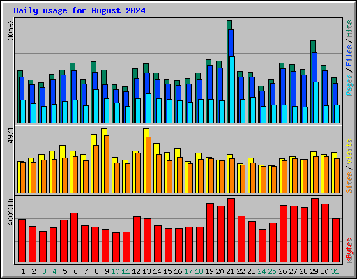 Daily usage for August 2024