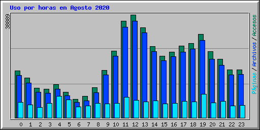 Uso por horas en Agosto 2020