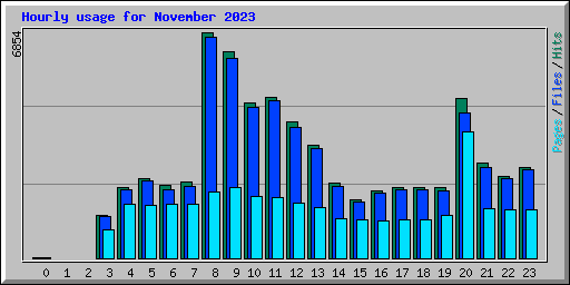 Hourly usage for November 2023