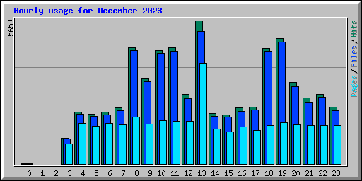 Hourly usage for December 2023