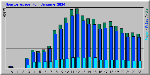 Hourly usage for January 2024