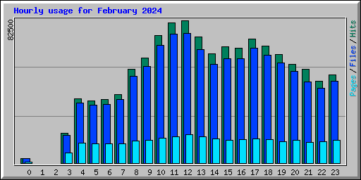 Hourly usage for February 2024