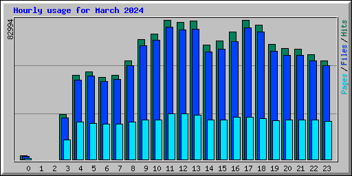 Hourly usage for March 2024