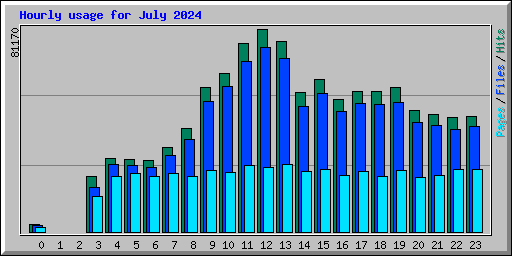 Hourly usage for July 2024