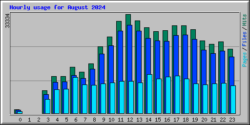 Hourly usage for August 2024