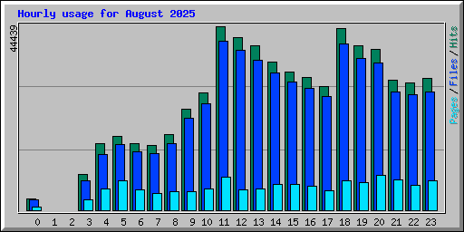 Hourly usage for August 2025