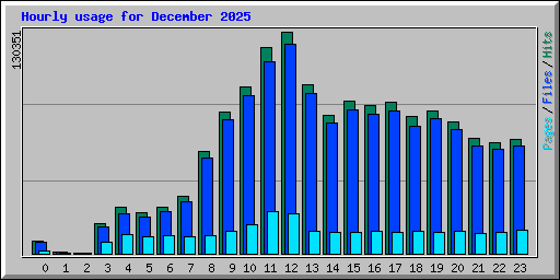 Hourly usage for December 2025
