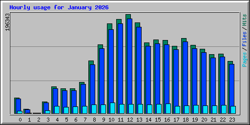 Hourly usage for January 2026