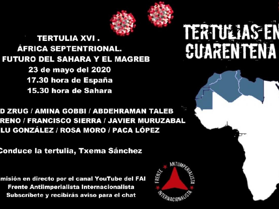 Francisco Sierra en un conversatorio digital en solidaridad con el pueblo saharaui