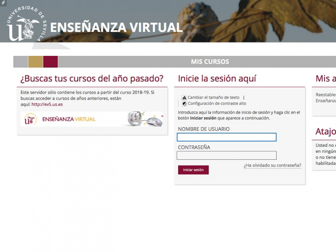 Curso de formación y prevención ante la Covid-19
