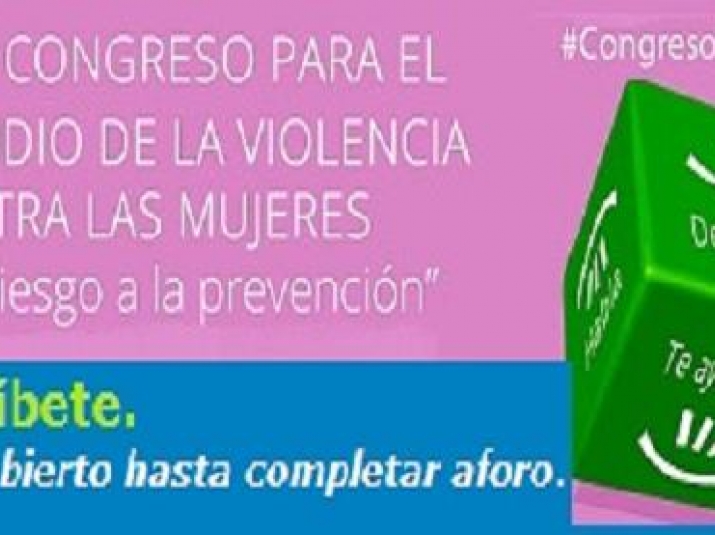 Congreso Violencia contra las Mujeres